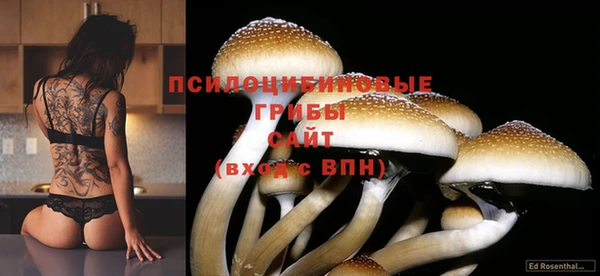 круглые Каменка