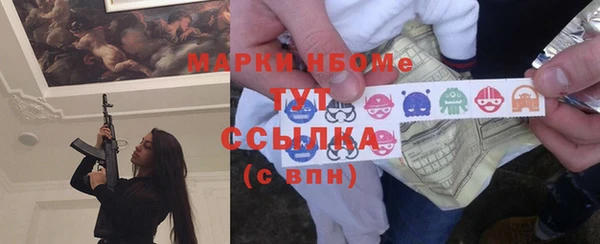 ECSTASY Инсар